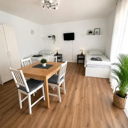 Geraeumige Mit Sonnenterrasse Apartment Hackenheim